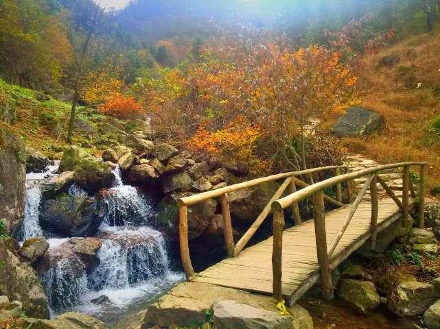 蝙蝠侠内敌